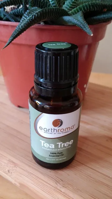 Intim Vådservietter med Tea Tree Oil 24 stk.  til daglig intimpleje ved uønsket lugt, kløe og tørhed - 6 stk.